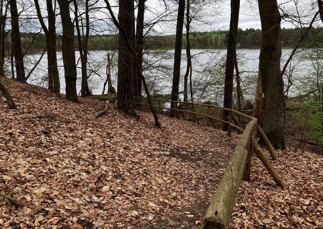 Wanderweg führt zum See hin, Foto: Jörg Bartz, Lizenz: TV Ruppiner Seenland e.V.