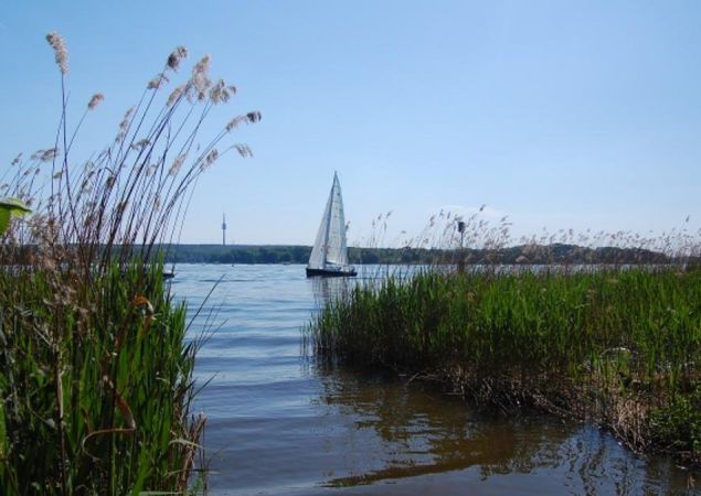 Mauerweg Grunewald, Foto: TMB