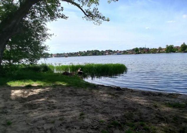 Badestelle im Havelpark Fürstenberg, Foto: Rhea Knaak/Stadt Fbg, Lizenz: REGiO-Nord