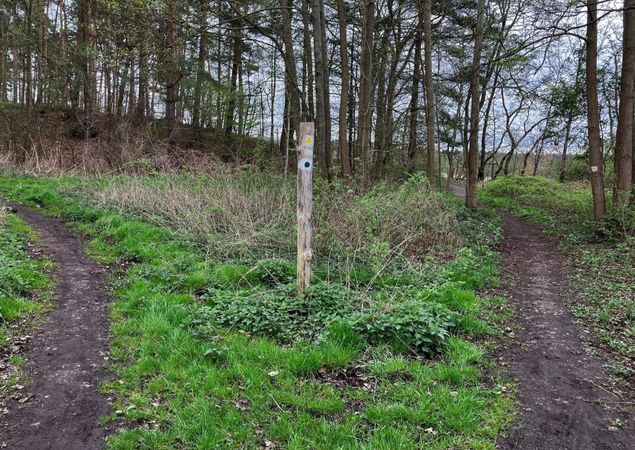 Die Wanderwege trennen sich wieder, Foto: Jörg Bartz, Lizenz: TV Ruppiner Seenland e.V. Die Wanderwege trennen sich wieder, Foto: Jörg Bartz, Lizenz: TV Ruppiner Seenland e.V.