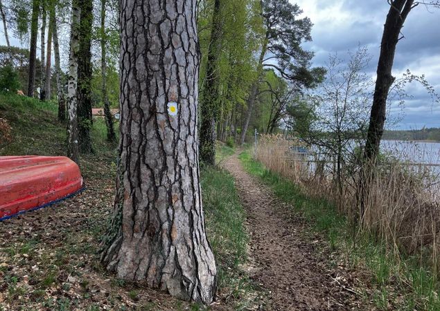 Wegmarkierung: Quadrat mit gelben Punkt auf weißem Hintergrund, Foto: Jörg Bartz, Lizenz: TV Ruppiner Seenland e.V. Wegmarkierung: Quadrat mit gelben Punkt auf weißem Hintergrund, Foto: Jörg Bartz, Lizenz: TV Ruppiner Seenland e.V.