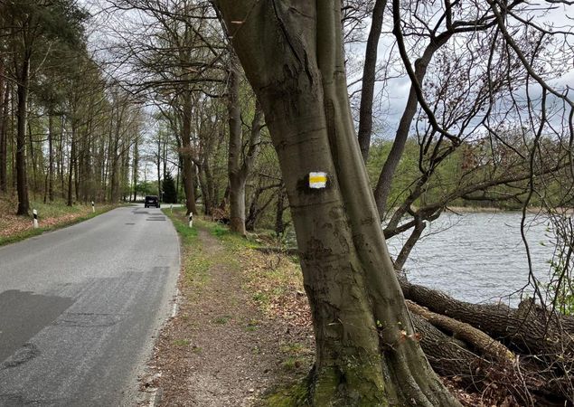Wanderweg entlang der Straße für einen kleinen Abschnitt, Foto: Jörg Bartz, Lizenz: TV Ruppiner Seenland e.V.