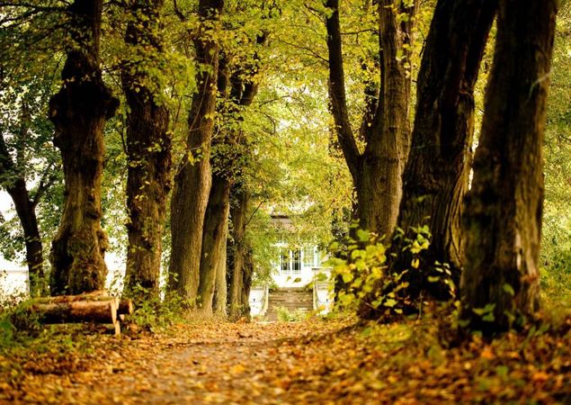 Gut Boltenhof - Auf dem Weg zum Gut Boltenhof, Foto: Gut Boltenhof, Lizenz: Gut Boltenhof