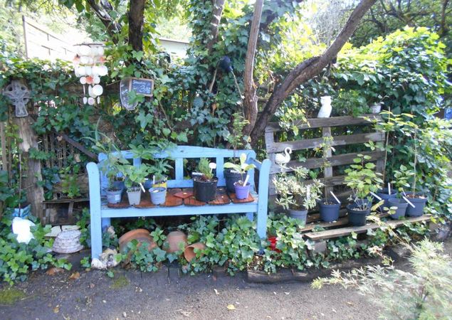 Pflanzenverkauf, Foto: Exotik-Kunst-Garten Pflanzenverkauf, Foto: Exotik-Kunst-Garten