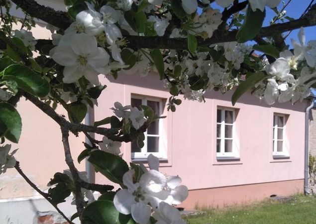 Blüten vorm Gut Zernikow, Foto: Tourismusverband Ruppiner Seenland e.V. , Lizenz: Tourismusverband Ruppiner Seenland e.V.