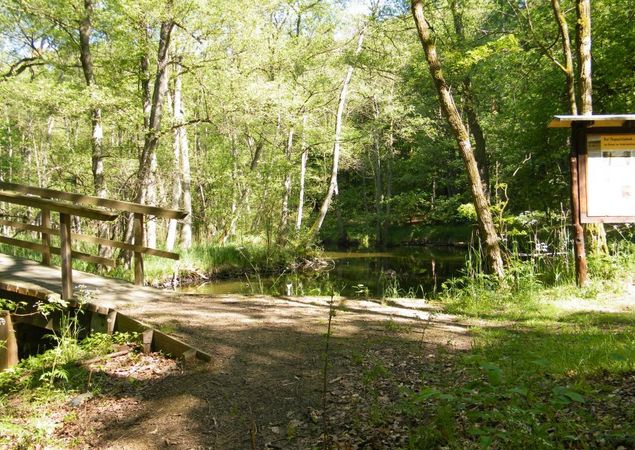 Wanderung um den Hegensteinbach, Foto: TI Fürstenberg/Havel, Lizenz: TI Fürstenberg/Havel
