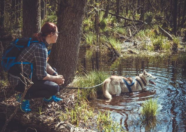 Husky am Wasser, Foto: J. Friedrich