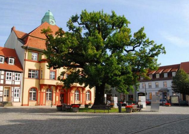 Marktplatz mit Friedenseiche, Foto: Konstantin Normann, Lizenz: TMB Tourismus-Marketing Brandenburg GmbH