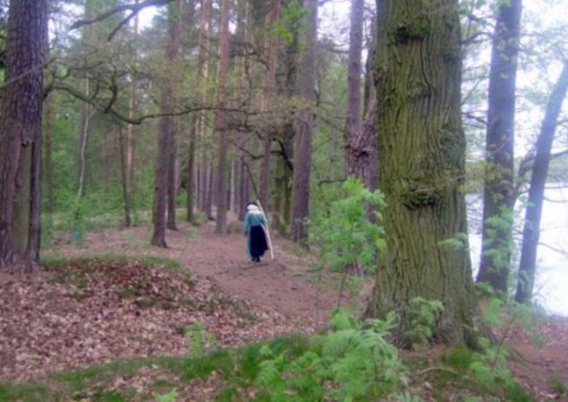 Weg am Kyritzer See