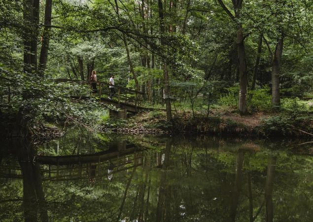 Hegensteinbach, Foto: Madlen Krippendorf, Lizenz: Stadt Fürstenberg/Havel