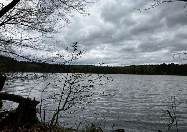 Wanderweg entlang am Ufer des Haussees, Foto: Jörg Bartz, Lizenz: TV Ruppiner Seenland e.V. Wanderweg entlang am Ufer des Haussees, Foto: Jörg Bartz, Lizenz: TV Ruppiner Seenland e.V.