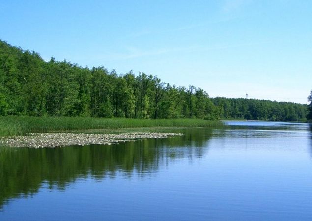 Havel zwischen Schwedtsee und Stolpsee bei Fürstenberg/Havel