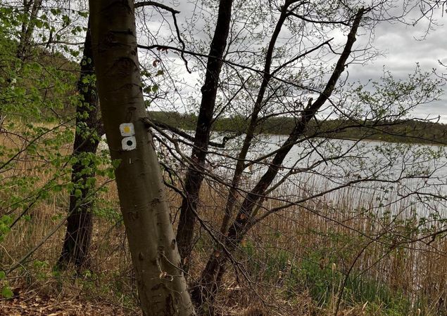 Wanderwege um den Haussee und dem Moderfitzsee auf einer Streckenführung, Foto: Jörg Bartz, Lizenz: TV Ruppiner Seenland e.V. Wanderwege um den Haussee und dem Moderfitzsee auf einer Streckenführung, Foto: Jörg Bartz, Lizenz: TV Ruppiner Seenland e.V.