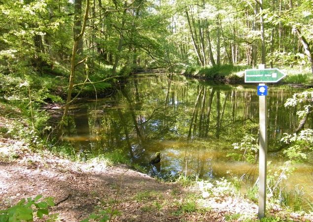 Wanderung um den Hegensteinbach, Foto: TI Fürstenberg/Havel, Lizenz: TI Fürstenberg/Havel