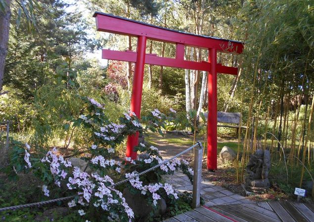 Bambushain, Foto: Exotik-Kunst-Garten Bambushain, Foto: Exotik-Kunst-Garten
