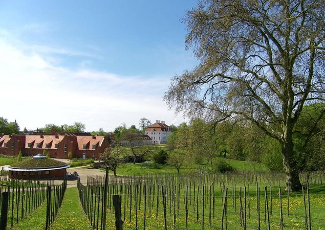 Schlosswirt Meseberg, Foto: Tourismusverband Ruppiner Seenland e.V., Lizenz: Tourismusverband Ruppiner Seenland e.V.