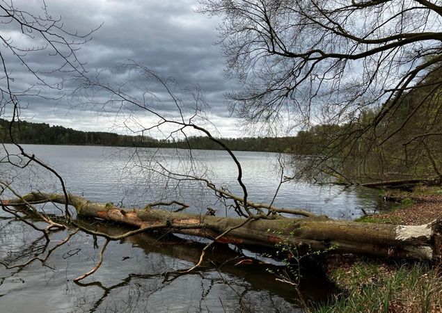 Blick auf den Sidowsee vom gegenüber liegendem Ufer, Foto: Jörg Bartz, Lizenz: TV Ruppiner Seenland e.V.