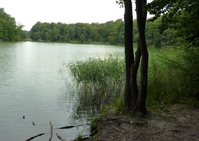 Hellsee © WITO Barnim/ Fotograf L. Lamprecht
