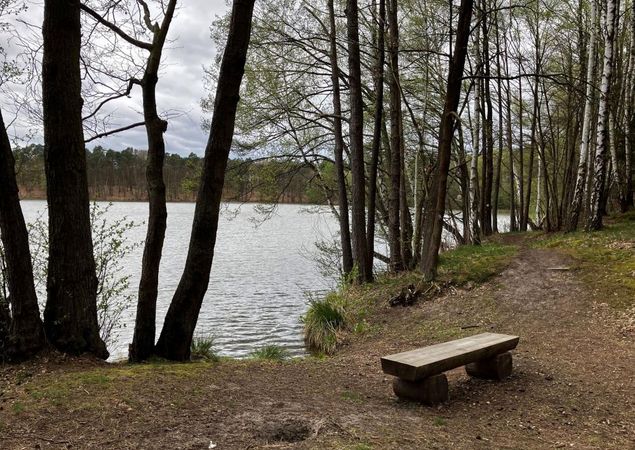 Blick auf den Sidowsee, Foto: Jörg Bartz, Lizenz: TV Ruppiner Seenland e.V.