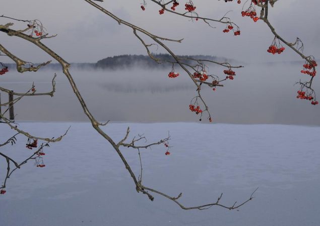 Stechlinsee im Winter, Foto: Michael Feierabend Stechlinsee im Winter, Foto: Michael Feierabend