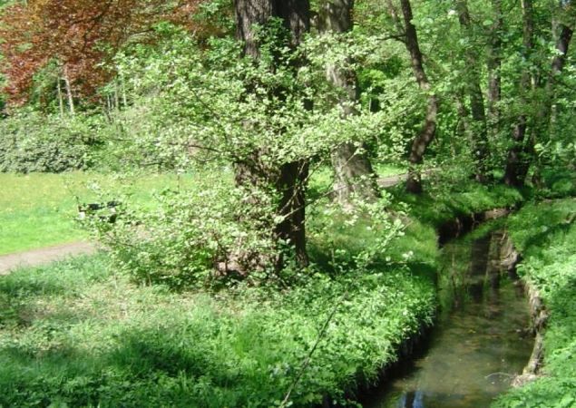 An der Panke, Foto: Hoffmann An der Panke, Foto: Hoffmann