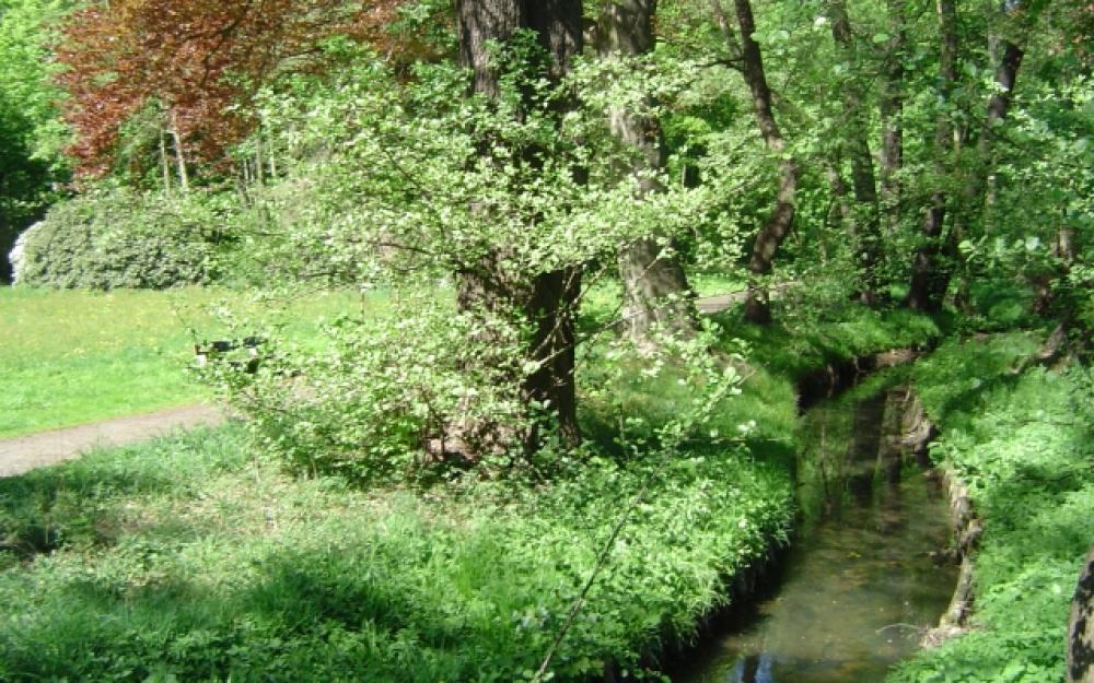 Wandertour durch den Naturpark Barnim