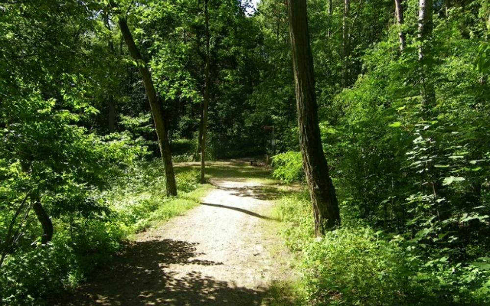 6. Etappe Tour Brandenburg: Wittstock - Fürstenberg (Havel)