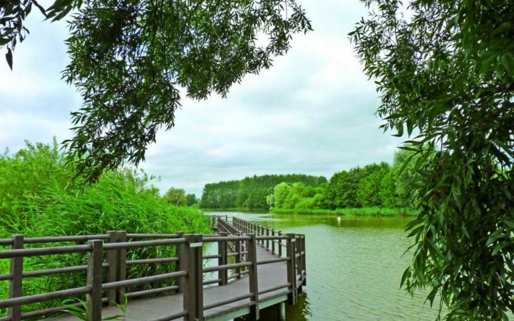 Stege am Mühlensee, Foto: K. Rosen, Foto: K. Rosen, Lizenz: K. Rosen Stege am Mühlensee, Foto: K. Rosen, Foto: K. Rosen, Lizenz: K. Rosen