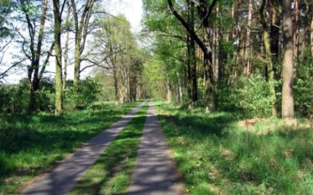 Tagestour 14 in die Historischen Stadtkerne Nauen, Kremmen & Neuruppin