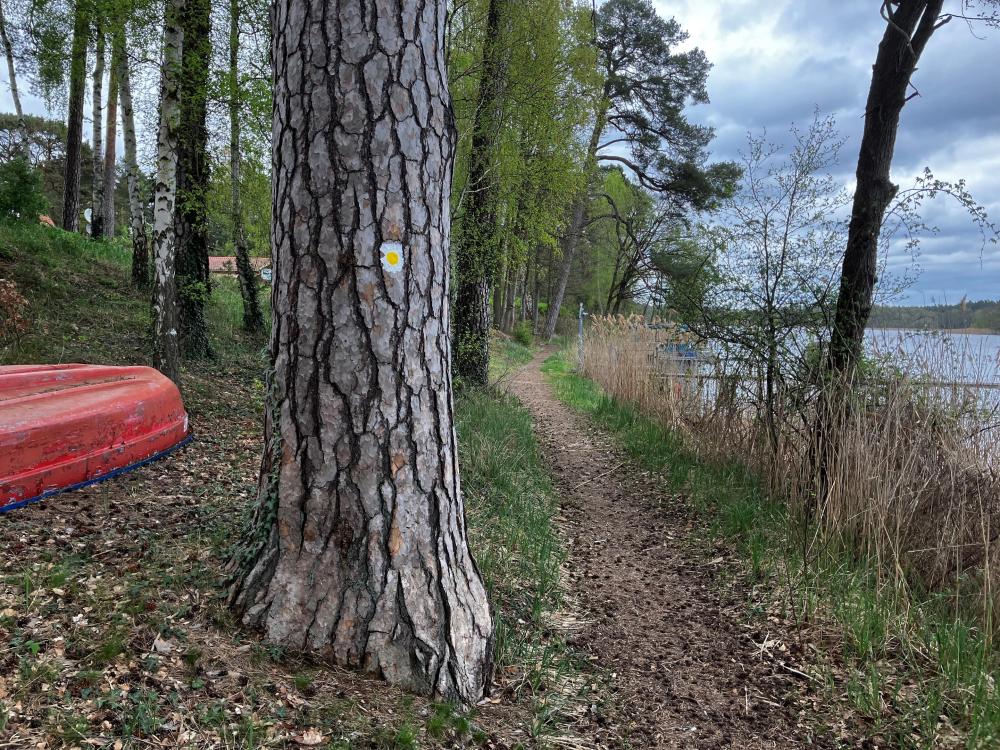 Wegmarkierung: Quadrat mit gelben Punkt auf weißem Hintergrund, Foto: Jörg Bartz, Lizenz: TV Ruppiner Seenland e.V. Wegmarkierung: Quadrat mit gelben Punkt auf weißem Hintergrund, Foto: Jörg Bartz, Lizenz: TV Ruppiner Seenland e.V.