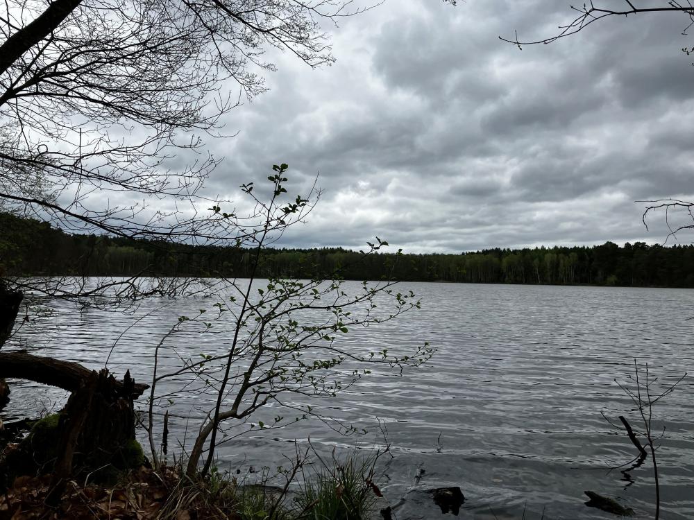 Wanderweg entlang am Ufer des Haussees, Foto: Jörg Bartz, Lizenz: TV Ruppiner Seenland e.V. Wanderweg entlang am Ufer des Haussees, Foto: Jörg Bartz, Lizenz: TV Ruppiner Seenland e.V.
