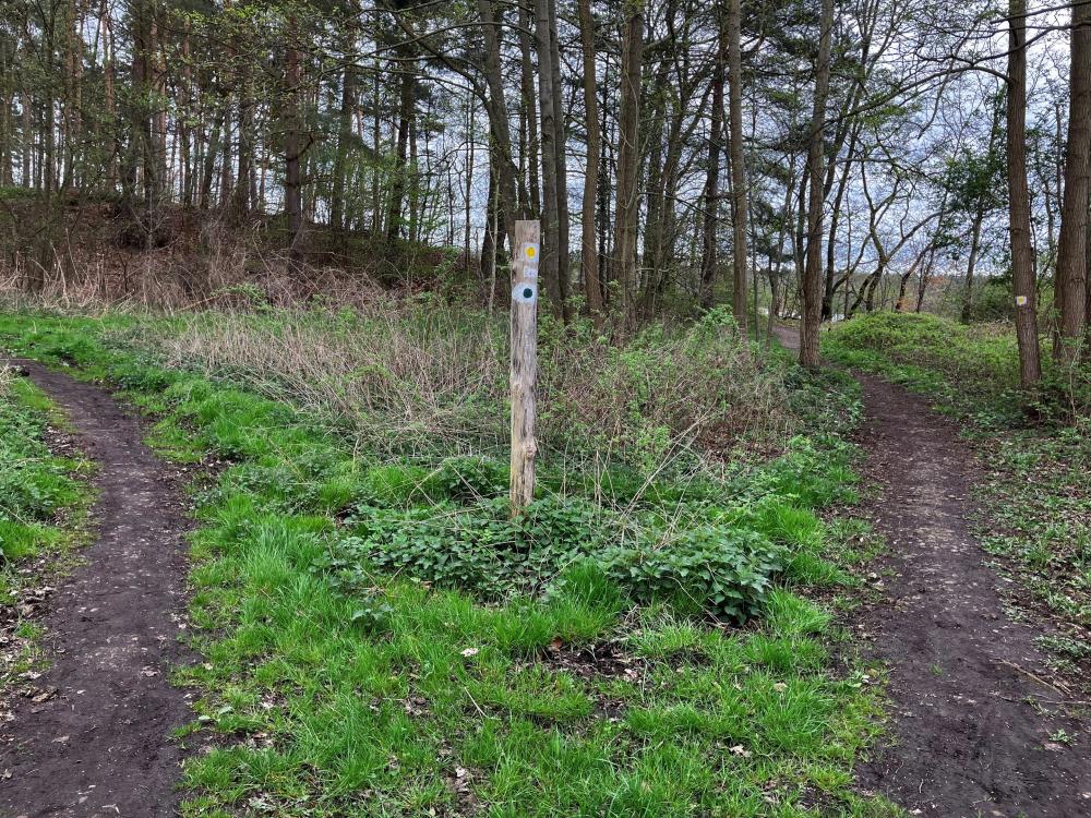 Die Wanderwege trennen sich wieder, Foto: Jörg Bartz, Lizenz: TV Ruppiner Seenland e.V. Die Wanderwege trennen sich wieder, Foto: Jörg Bartz, Lizenz: TV Ruppiner Seenland e.V.