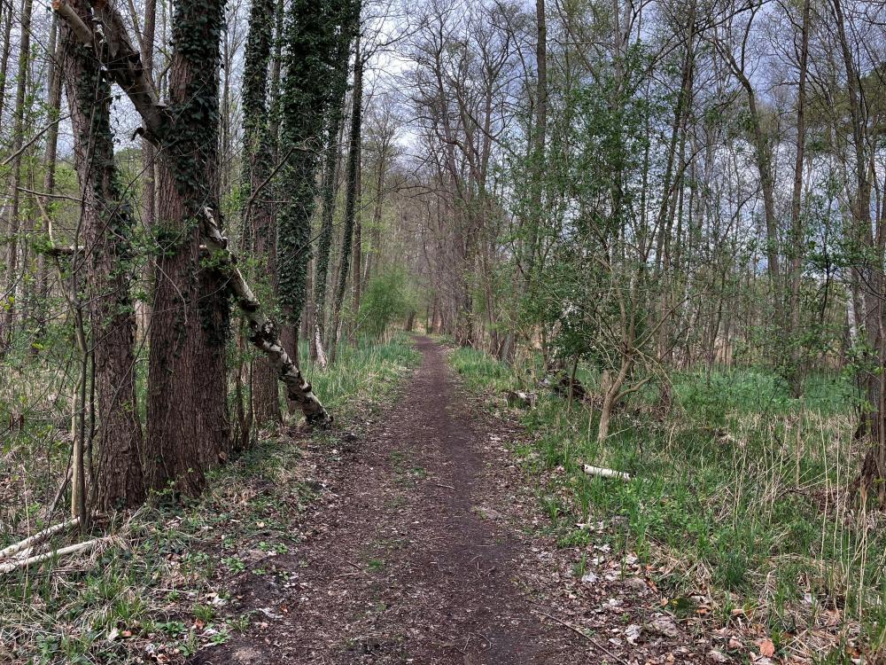 Der Wanderweg führt durch eine Mystische Landschaft, Foto: Jörg Bartz, Lizenz: TV Ruppiner Seenland e.V. Der Wanderweg führt durch eine Mystische Landschaft, Foto: Jörg Bartz, Lizenz: TV Ruppiner Seenland e.V.