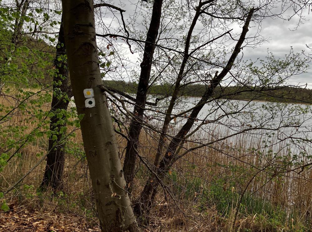Wanderwege um den Haussee und dem Moderfitzsee auf einer Streckenführung, Foto: Jörg Bartz, Lizenz: TV Ruppiner Seenland e.V. Wanderwege um den Haussee und dem Moderfitzsee auf einer Streckenführung, Foto: Jörg Bartz, Lizenz: TV Ruppiner Seenland e.V.