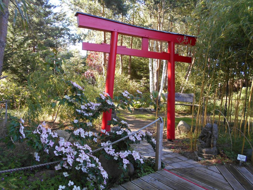 Bambushain, Foto: Exotik-Kunst-Garten Bambushain, Foto: Exotik-Kunst-Garten