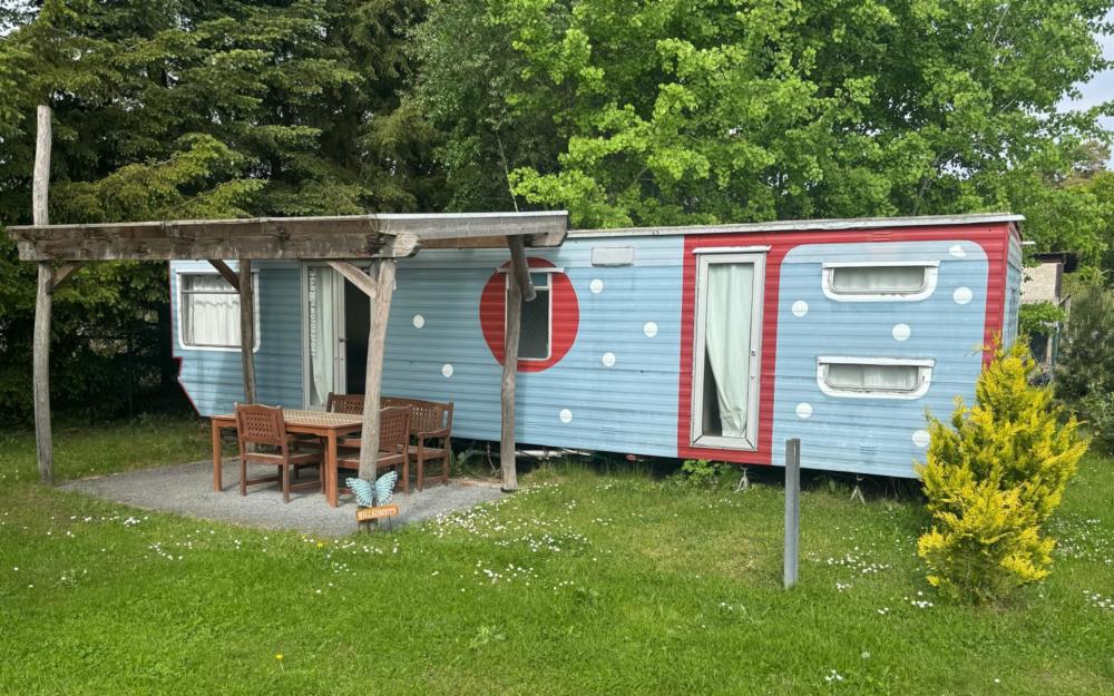 Blauer Traum auf der Reit- und Raststation Schorfheide